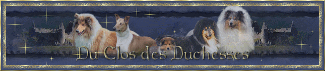 Hodowla Du Clos Des Duchesses