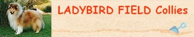 Hodowla Ladybird Field