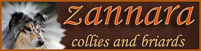 Zannara Collies