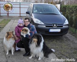 Lexio 10 tygodni z rodzicami Lovcią i Harnasiem oraz z nową rodzinką